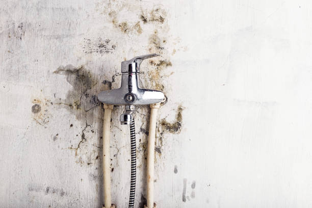 Best Health and Safety Mold Remediation in Independence, KS