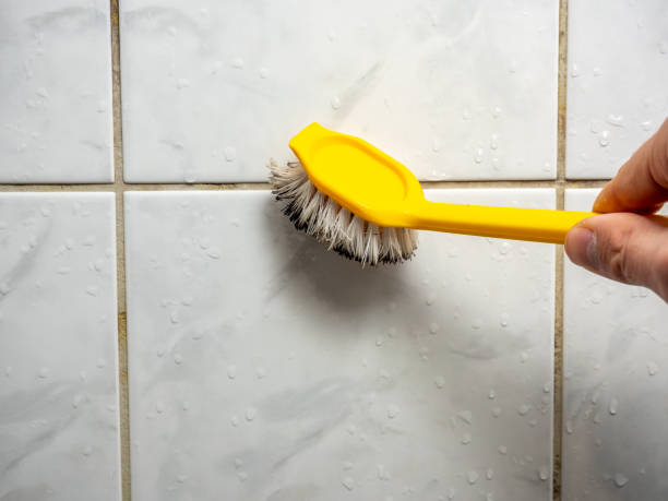 Best Kitchen Mold Remediation in Independence, KS