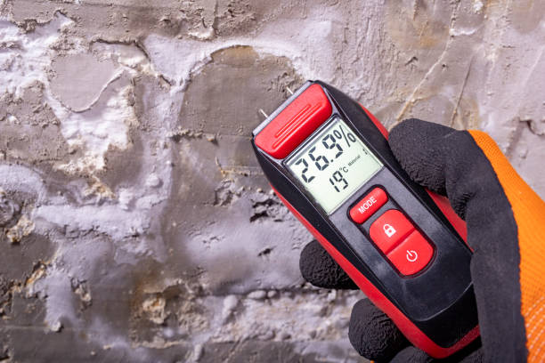 Best Localized Mold Remediation (e.g., coastal areas, humid climates) in Independence, KS