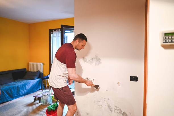 Professional Mold Remediation in Independence, KS